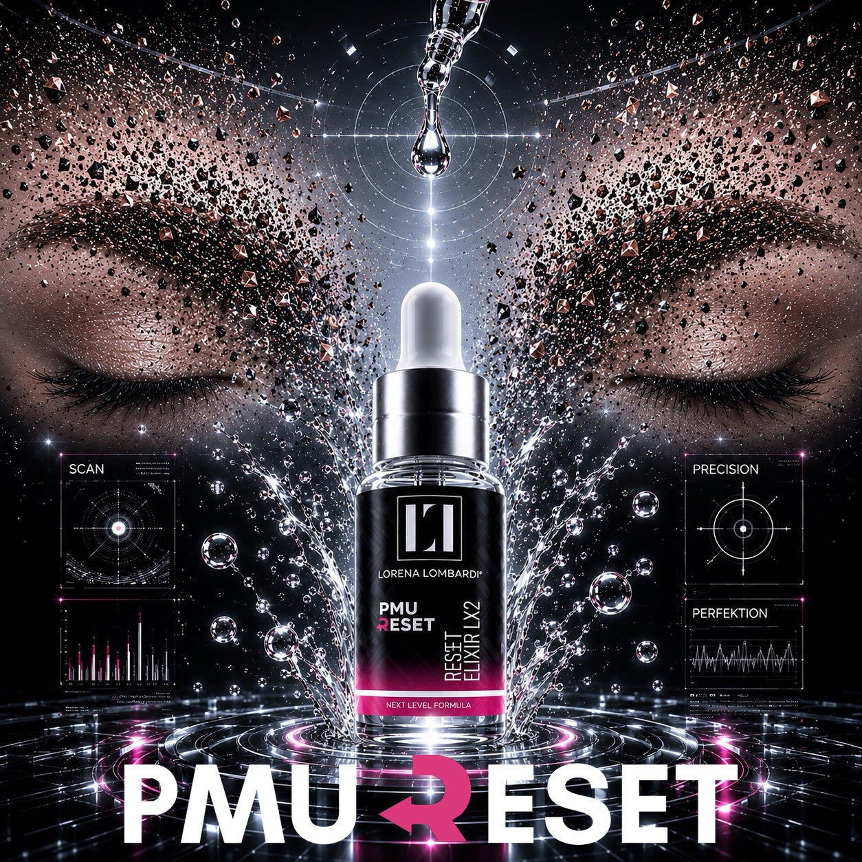 DAS PMU RESET SYSTEM BY LORENA LOMBARDI