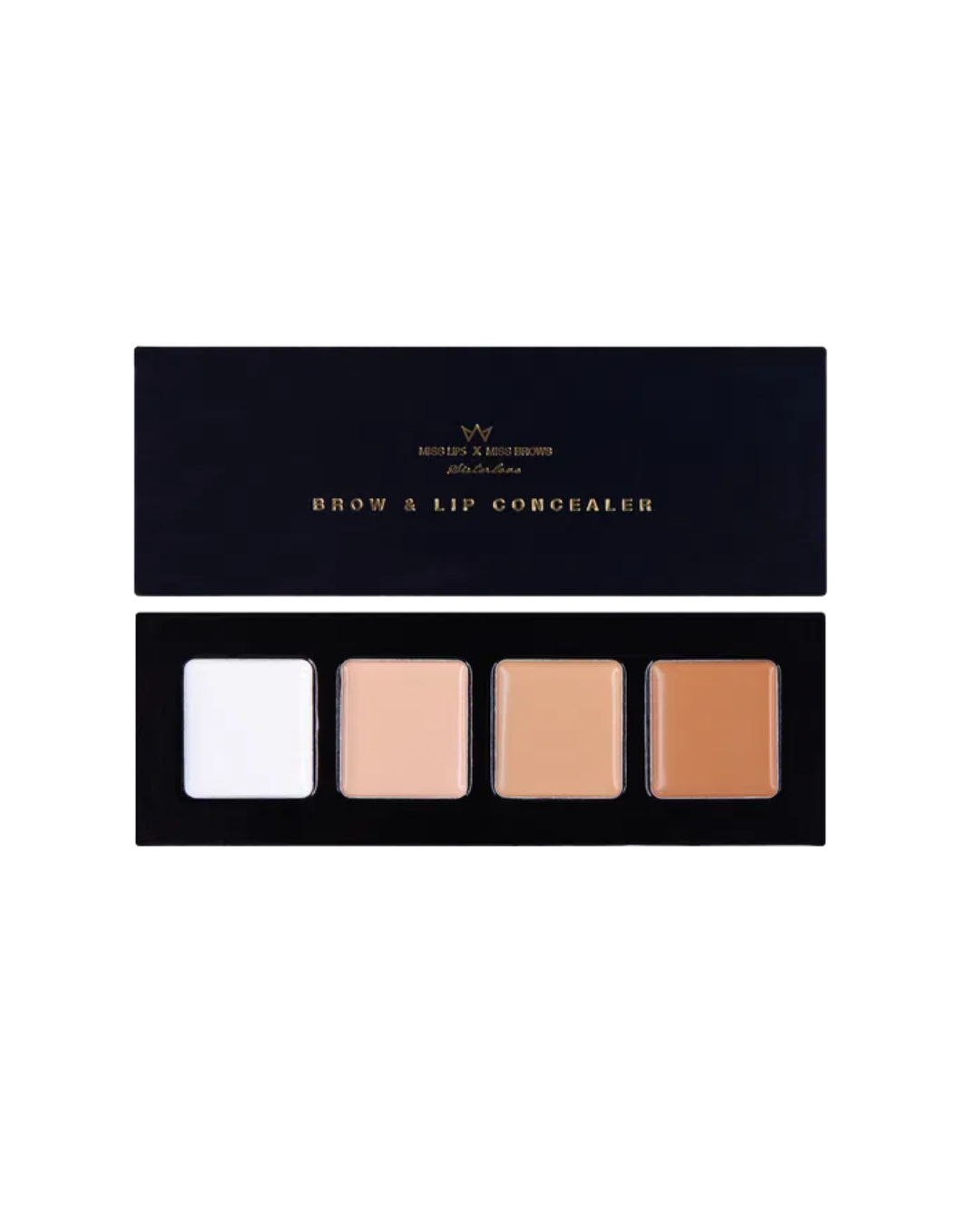 Brows & Lips Concealer Palette